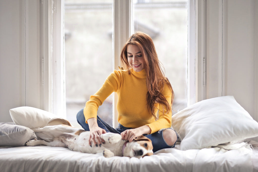 How Therapy Pets Can Help Those with Mental Health Issues